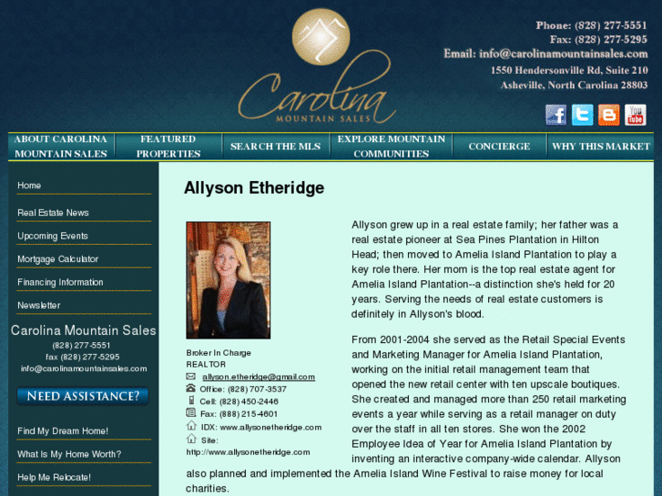 www.allysonetheridge.com