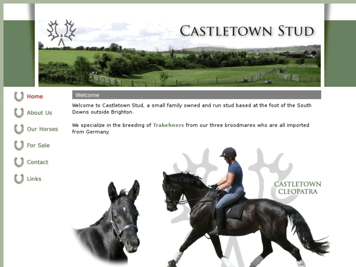 www.castletownstud.com