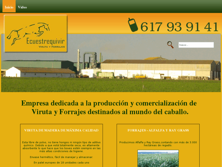 www.ecuestrequivir.es