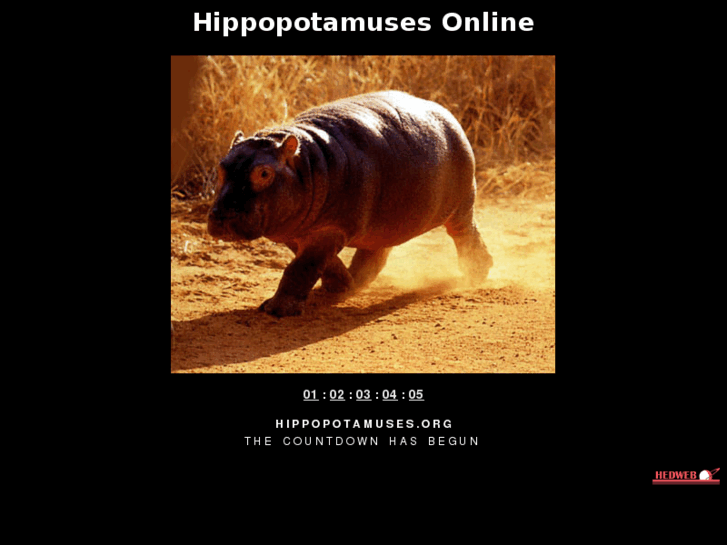 www.hippopotamuses.org