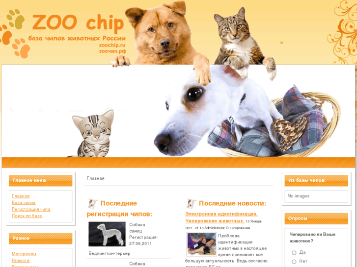 www.zoochip.ru