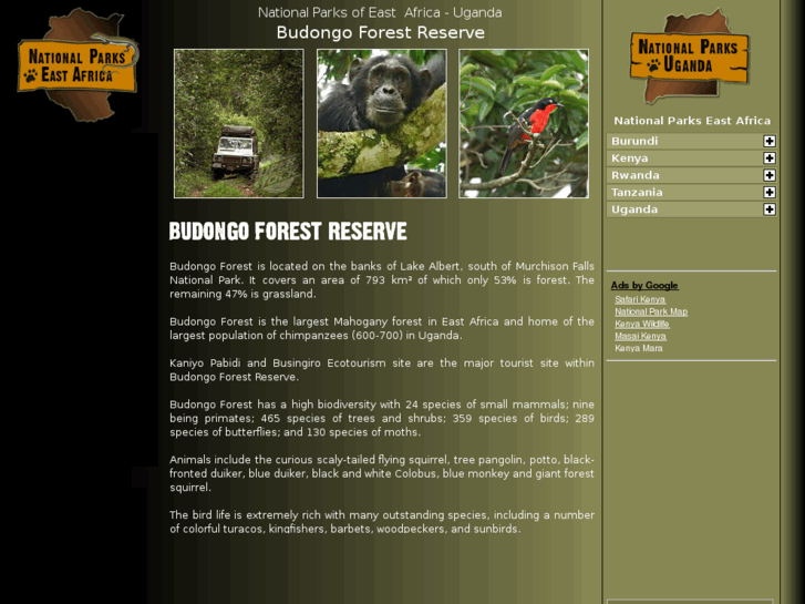 www.budongoforest.com