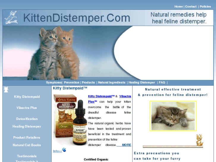 www.kittendistemper.com