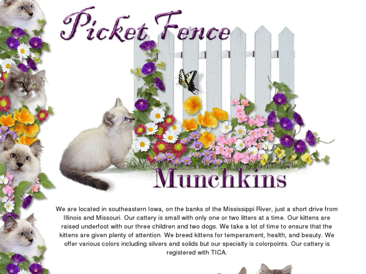 www.munchkins.cc