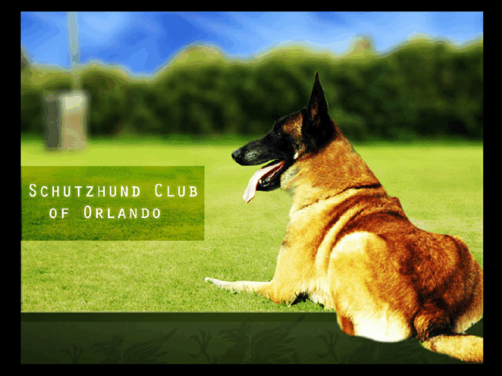 www.schutzhundcluboforlando.org