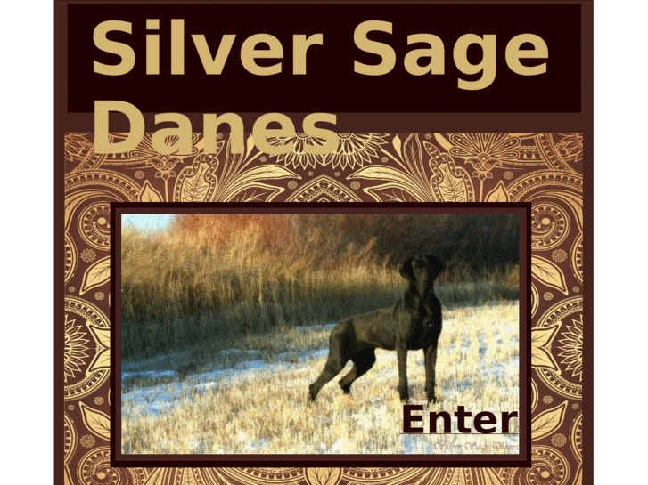 www.silversage-danes.com