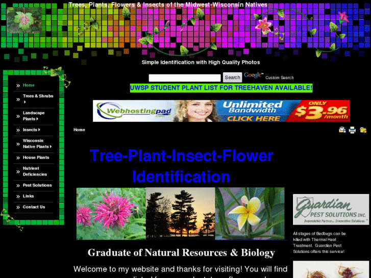 www.treeplantflowerid.com