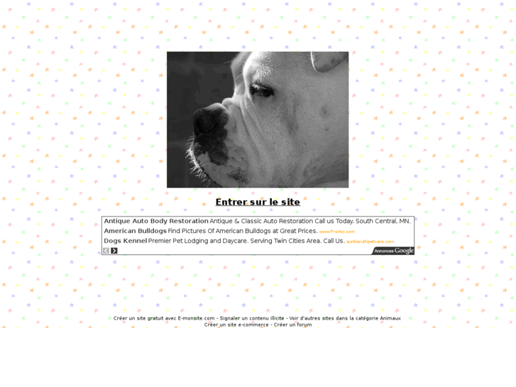 www.bodybulldogs.com