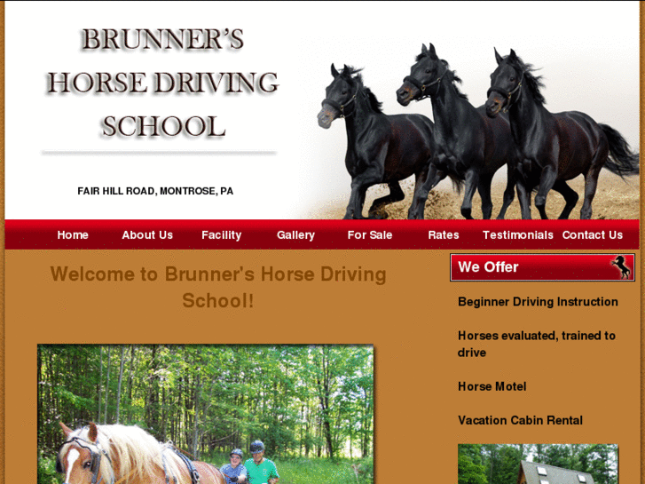 www.brunnershorsedrivingschool.com