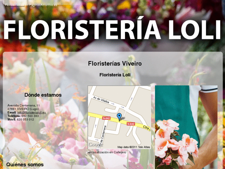 www.floristerialoli.es