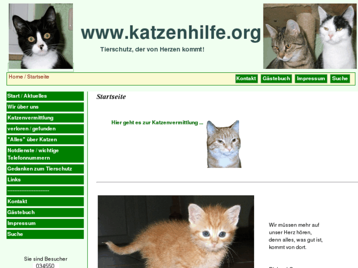 www.katzenhilfe.org