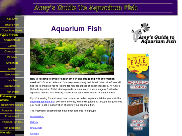 www.amysguidetoaquariumfish.com