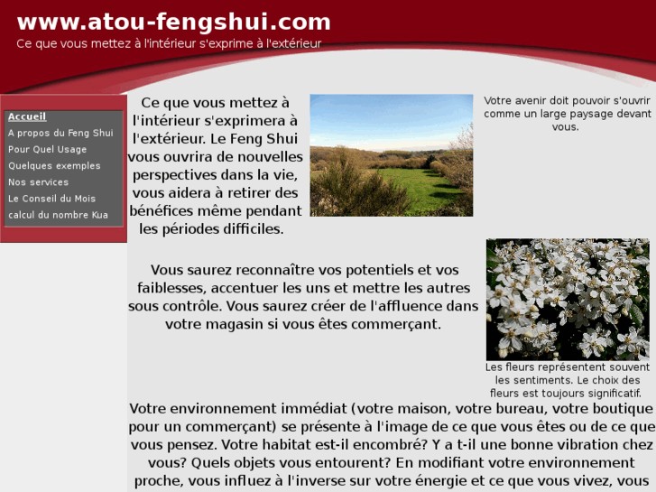 www.atou-fengshui.com