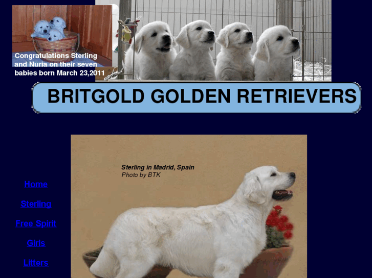 www.britgold.net