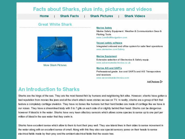 www.factsaboutsharks.com