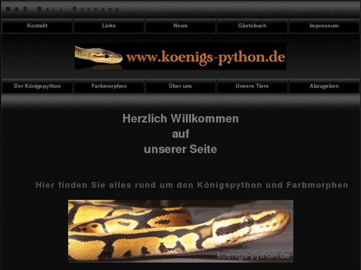 www.koenigs-python.de