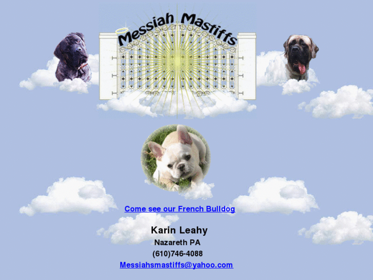 www.messiahmastiffs.com