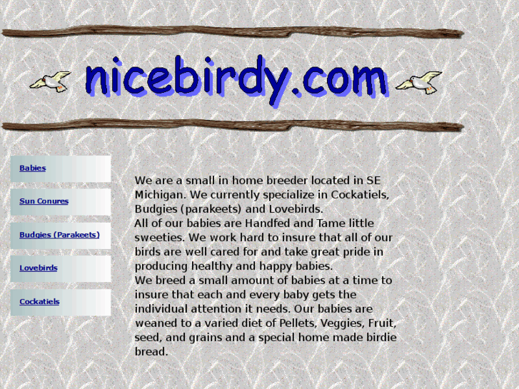 www.nicebirdy.com