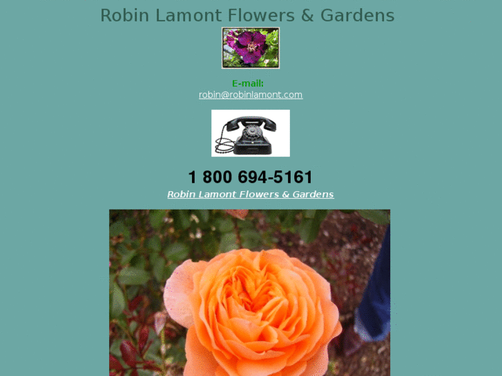 www.robinlamont.com