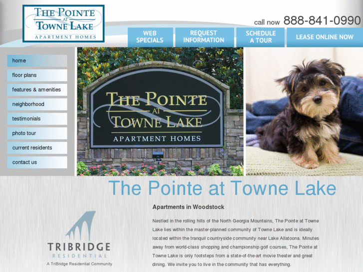 www.thepointeattownelake.com