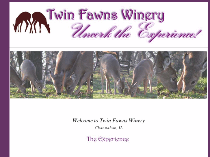 www.twinfawnswinery.com