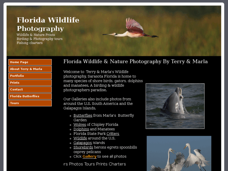 www.wildshotsphotography.com