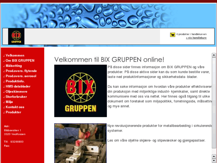 www.bixgruppen.org