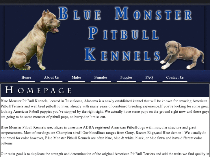 www.bluemonsterpitkennels.com