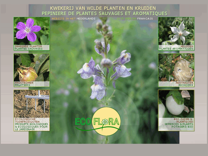 www.ecoflora.be