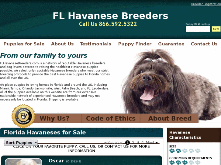 www.flhavanesebreeders.com