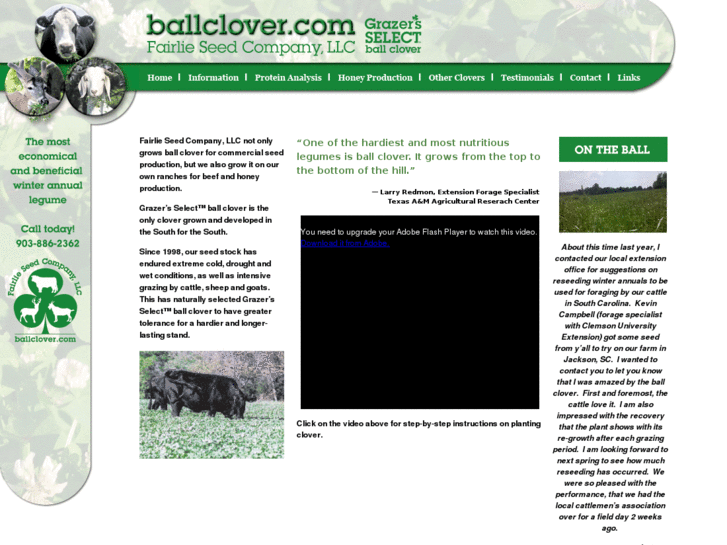 www.ballclover.com