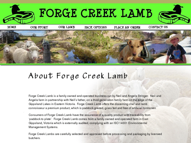 www.forgecreeklamb.com