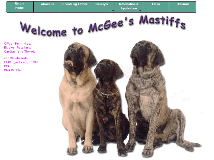 www.mcgeesmastiffs.com