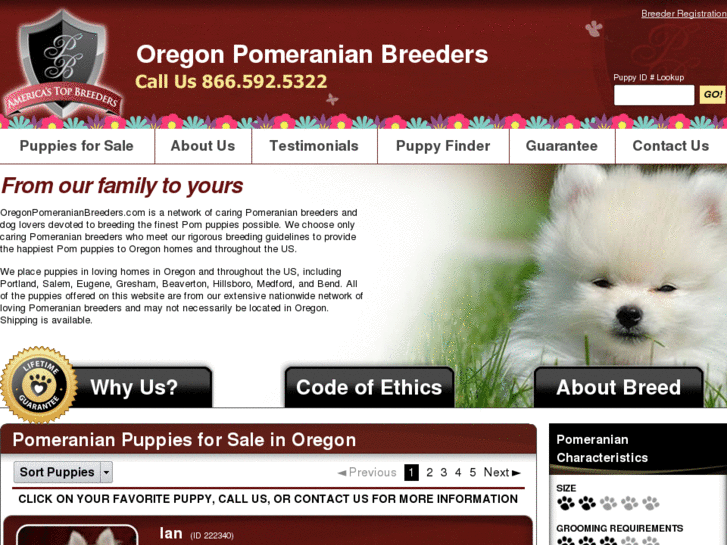 www.oregonpomeranianbreeders.com