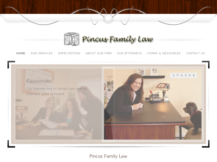 www.pincuslawyers.com