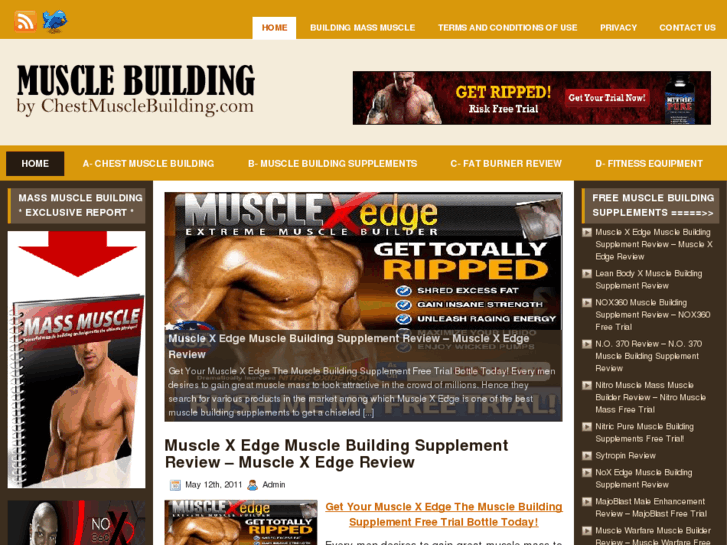 www.chestmusclebuilding.com