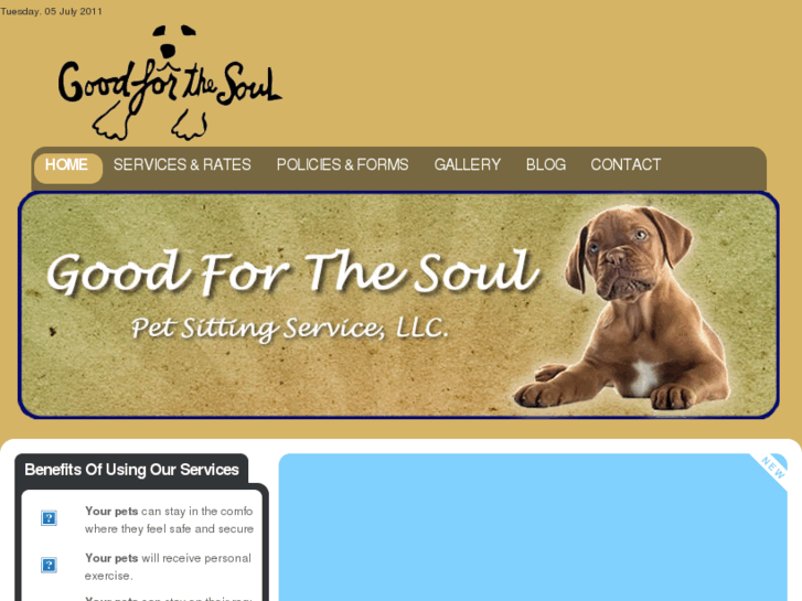 www.goodforthesoulpetsittingservice.com