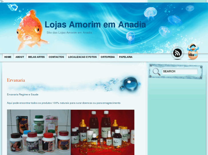 www.lojasamorim.com