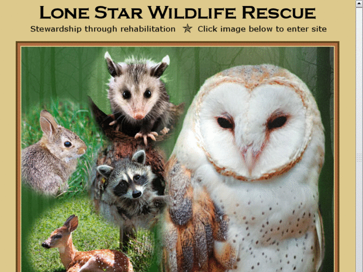 www.lonestarwildlife.org