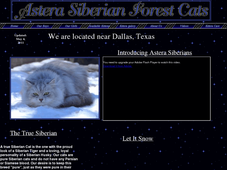 www.raresiberiancats.com