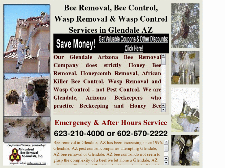 www.beeremovalglendaleaz.com