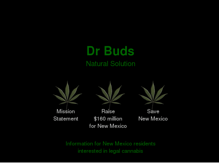 www.drbudsnaturalmedicine.com