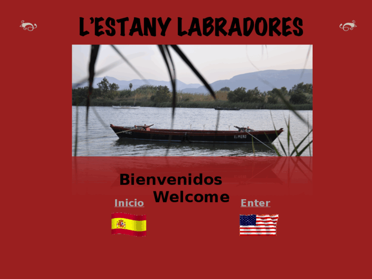 www.estanylabradores.com