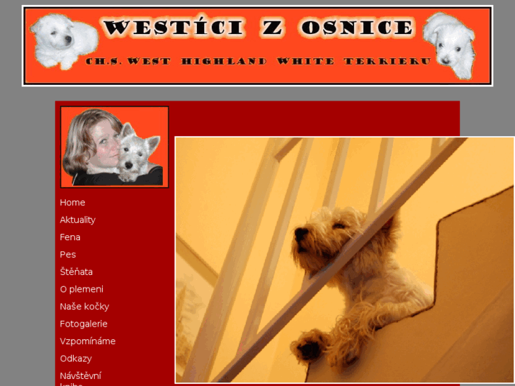 www.westici.com