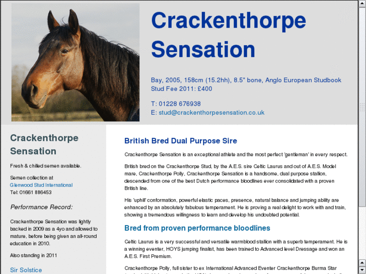 www.crackenthorpesensation.com