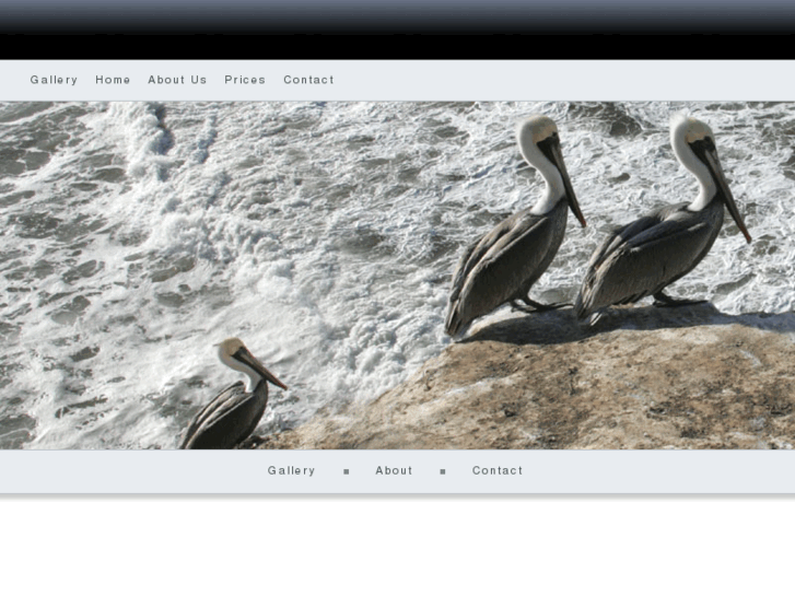 www.defining-images.com