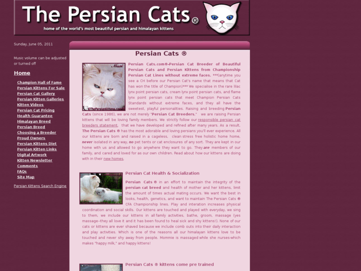 www.thepersiancats.net