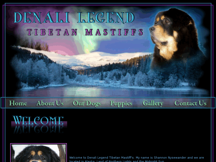 www.alaskatibetanmastiffs.com