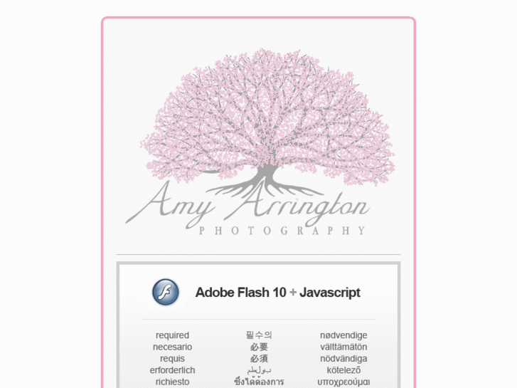 www.amyarringtonclients.com