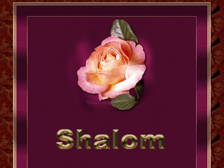 www.el-shaddai.net